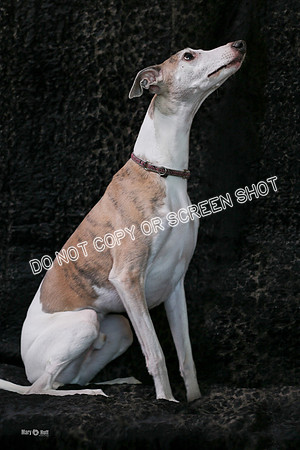 MCH55951-Edit