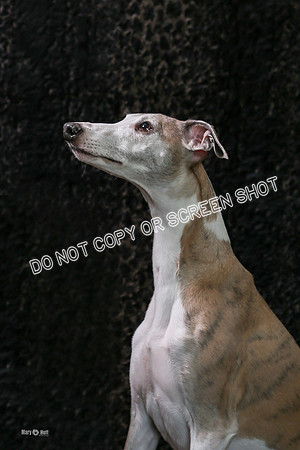 MCH55956-Edit