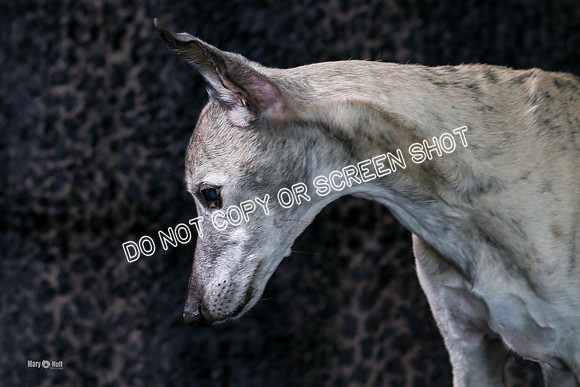 MCH56004-Edit