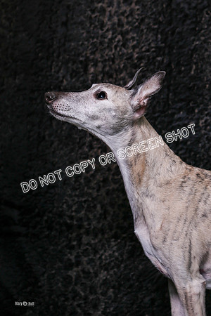 MCH55965-Edit
