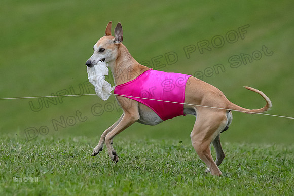 Prelims Open D1, Aubrey Player Mizuno-4397