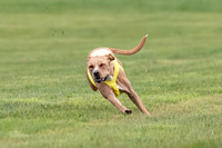 Prelims Zara-0804