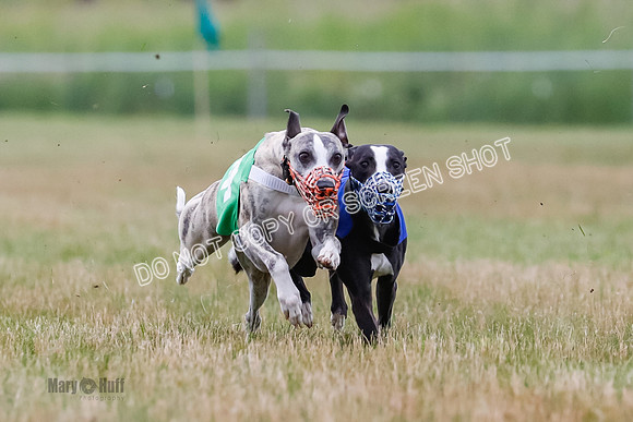 Prg 3, Race 4, Rowan-Jett-Blaze-Shimmy-Bogie-1135