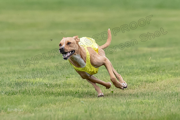 Prelims Zara-0806