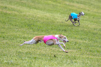 Prelim Specials A1, Booster Leo KinkyBoots-9605