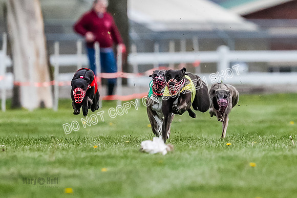 WRA, Prg 1, Race 4, Cassie Duesenberg Warrior Muchu Jasmine-8288