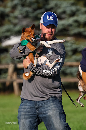 Program 1, Race 4 Kipepeo Jasiri Easton Croce-8534