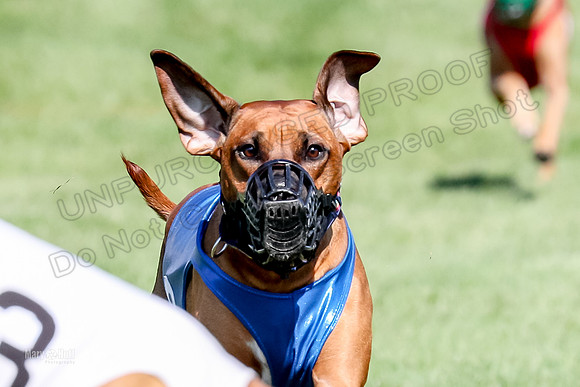 Program 3, Race 15 Xena Crue Opal-0066