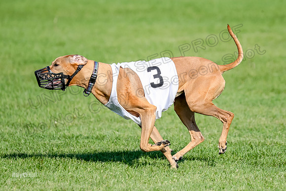 Program 1, Race 15 Opal Eve Xena-9040