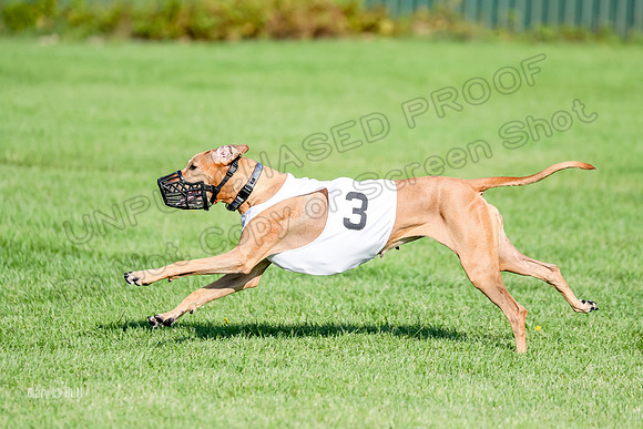 Program 1, Race 15 Opal Eve Xena-9043