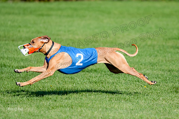 Program 1, Race 15 Opal Eve Xena-9030