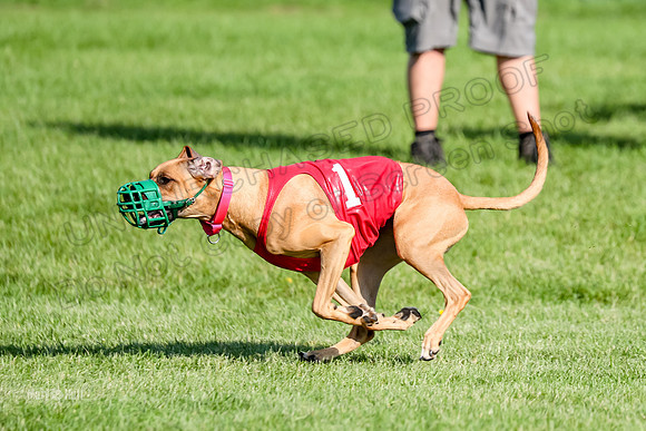 Program 1, Race 15 Opal Eve Xena-9024