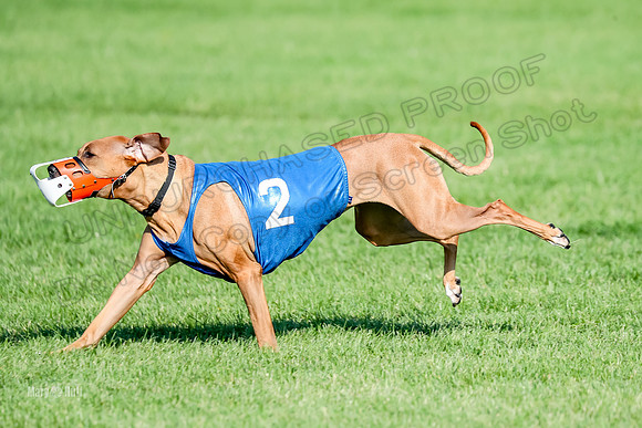 Program 1, Race 15 Opal Eve Xena-9031