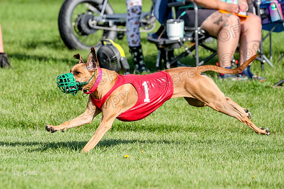 Program 1, Race 15 Opal Eve Xena-9022