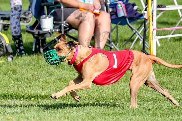 Program 1, Race 15 Opal Eve Xena-9021