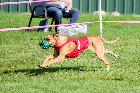 Program 1, Race 15 Opal Eve Xena-9017