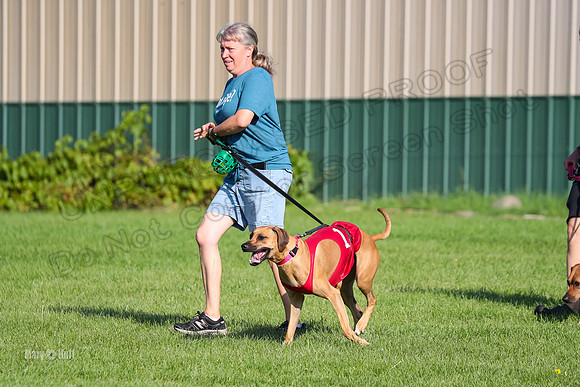 Program 1, Race 15 Opal Eve Xena-9016
