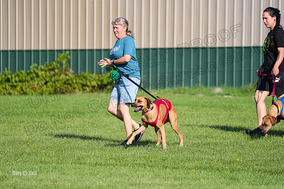 Program 1, Race 15 Opal Eve Xena-9014