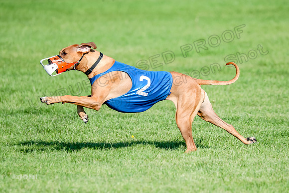 Program 1, Race 15 Opal Eve Xena-9029