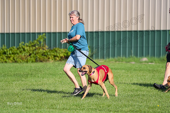 Program 1, Race 15 Opal Eve Xena-9015