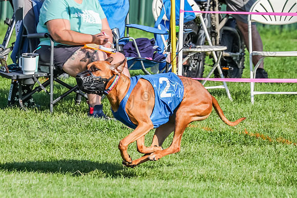 Program 1, Race 11 Libby Crue-8851