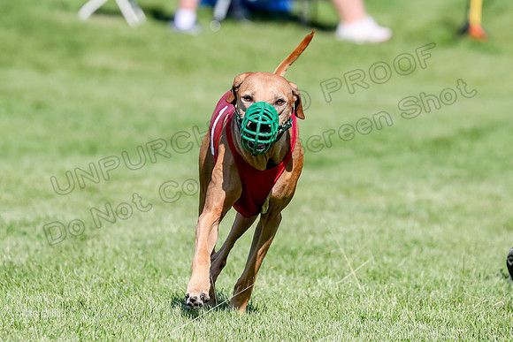 Program 3, Race 15 Xena Crue Opal-0078