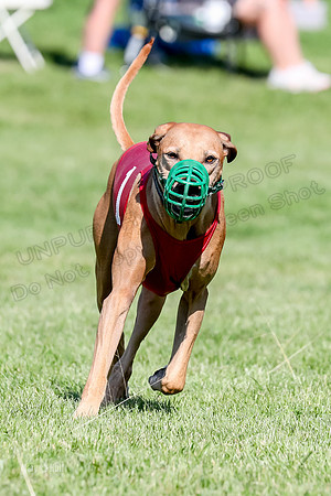 Program 3, Race 15 Xena Crue Opal-0079