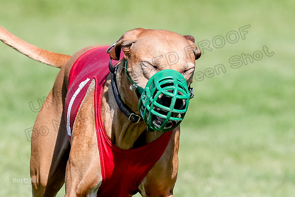 Program 3, Race 15 Xena Crue Opal-0080