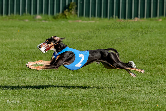 Program 1, Race 6 Vetia Trevor Annie-8618