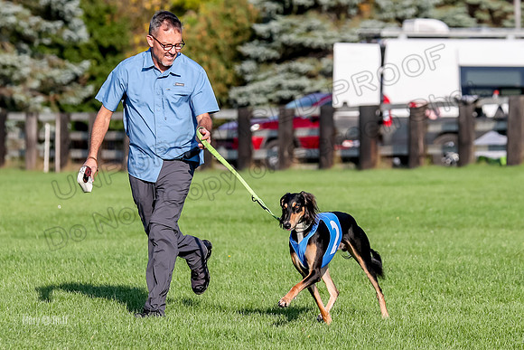 Program 1, Race 6 Vetia Trevor Annie-8596