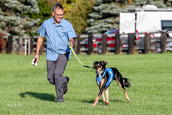 Program 1, Race 6 Vetia Trevor Annie-8597