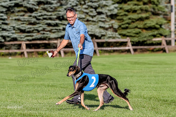 Program 1, Race 6 Vetia Trevor Annie-8603