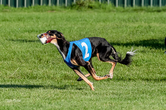 Program 1, Race 6 Vetia Trevor Annie-8615