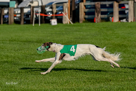 Program 1, Race 1 Isaly Kenai Charlie Luca-8399
