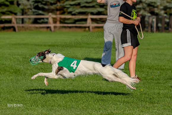 Program 1, Race 1 Isaly Kenai Charlie Luca-8403