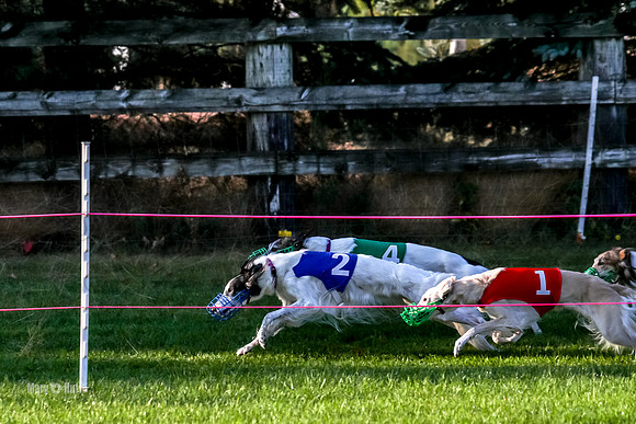 Program 1, Race 1 Isaly Kenai Charlie Luca-8394