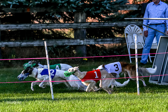 Program 1, Race 1 Isaly Kenai Charlie Luca-8390