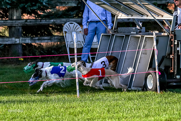 Program 1, Race 1 Isaly Kenai Charlie Luca-8387