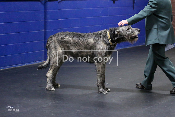 MCH57896