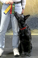 MCH57911