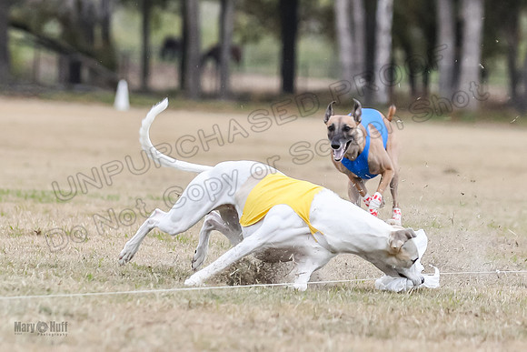Finals Open 2 Cheese PeteySue Treble-3965