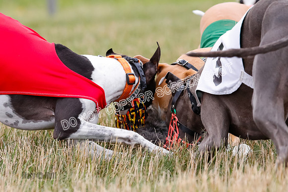 Prg 3, Race 2, Chuck-Tusi-Smokey-Raz-Angel-Nathalia-1079