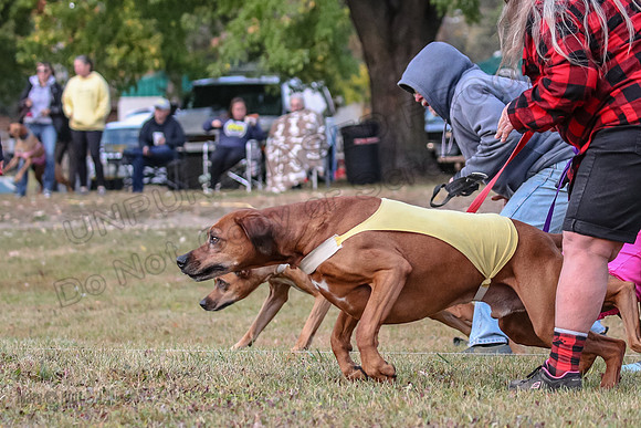 1 Prelims Fch 1 Ace Dakota Remmy-0251