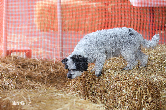 MCH58779