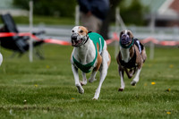 WRA, Prg 1, Race 2, Dash, Reas Mika Buzzsaw Moonstruck Elvis-8264