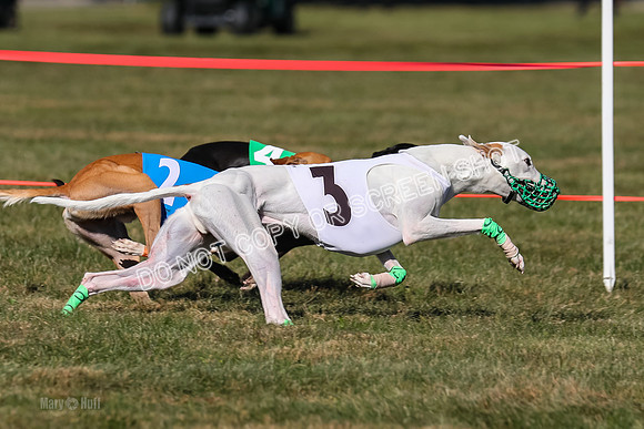 Prg 4, Race 13, oats Bookie Reas Rizzo-2781