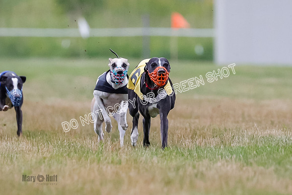Prg 3, Race 4, Rowan-Jett-Blaze-Shimmy-Bogie-1116