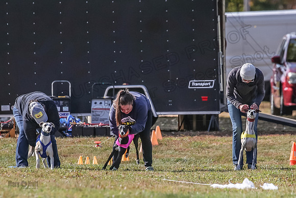 Finals Open 1 Sebastian Drift Zero-3781