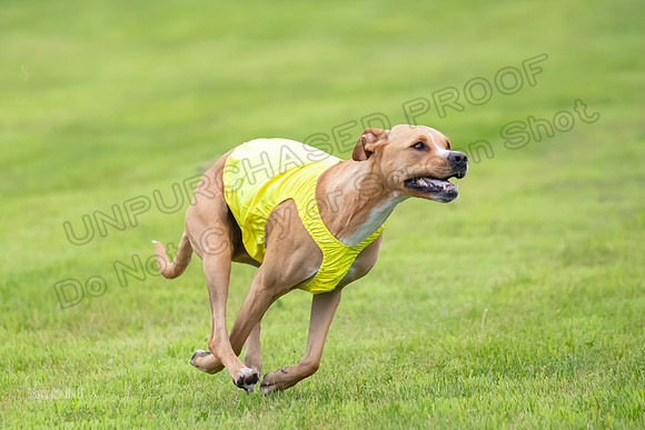 Prelims Zara-0829