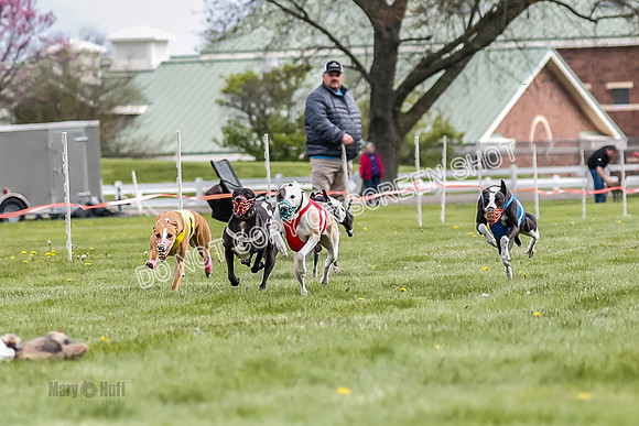 WRA, Prg 1, Race 10, Jamie Pico Nami Elia CC Savvy-8407